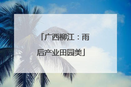广西柳江：雨后产业田园美